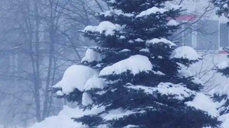 Аномальные 34 градуса мороза ожидается в Татарстане 5 февраля - телеканал НТР 24