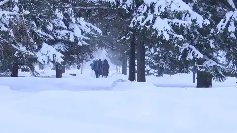 Последний день зимы удивит жителей Татарстана погодой - телеканал НТР 24