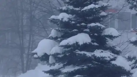 Морозы до -29 градусов и туман в Татарстане прогнозируют синоптики - телеканал НТР 24