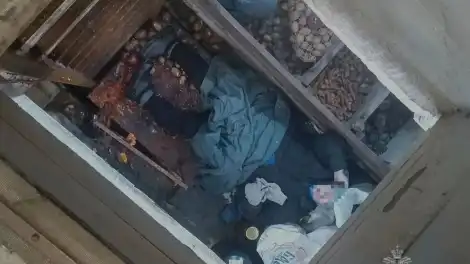 Пожилая женщина упала в глубокий погреб в Татарстане - телеканал НТР 24