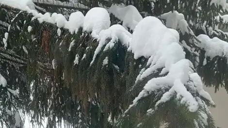 Татарстан выходит из 35-градусных морозов: в республике начинается потепление - телеканал НТР 24