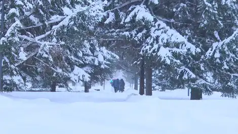 В Татарстане к сильным снегопадам присоединится мороз до -30 градусов - телеканал НТР 24