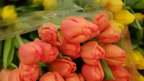 «Самоподарки» к 8 Марта: новый тренд среди россиянок - телеканал НТР 24