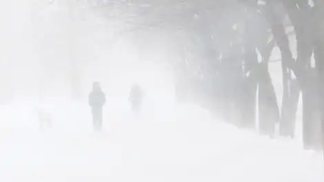 Снежный шторм: за три дня в Татарстане может выпасть месячная норма осадков - телеканал НТР 24