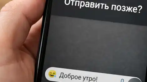 WhatsApp* тестирует новую функцию – отложенную отправку сообщений - телеканал НТР 24