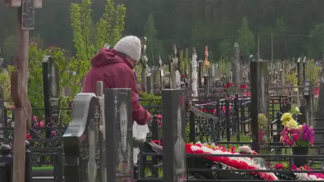 Для нижнекамского кладбища выделили два новых участка - телеканал НТР 24