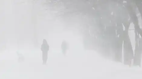 На территории Татарстана ухудшится видимость в предпоследний зимний день - телеканал НТР 24