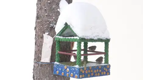 Резкое потепление до плюсовых значений идет в Татарстан – Гидрометцентр России - телеканал НТР 24