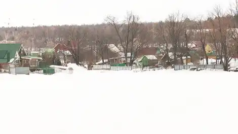 Февраль в огороде: четкий план работ на последний зимний месяц для садоводов - телеканал НТР 24