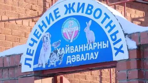 В Нижнекамске капитально отремонтировали государственную ветклинику - телеканал НТР 24