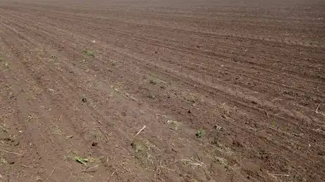 В Челнах 191 многодетная семья предпочла компенсацию земельному участку - телеканал НТР 24