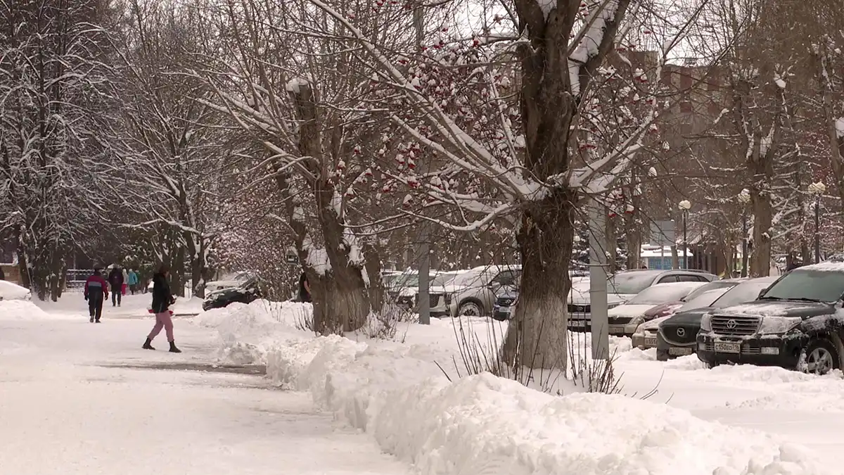 Зимний пейзаж с сугробами и рябиной