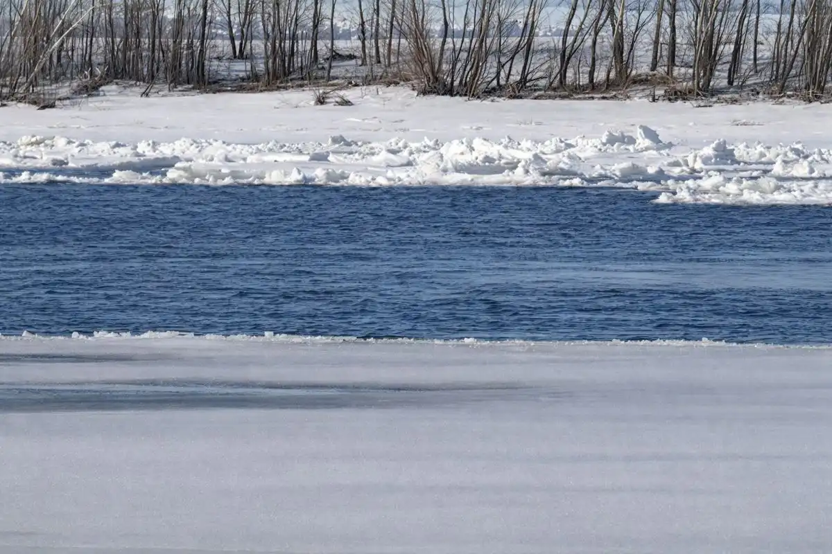 река весной половодье