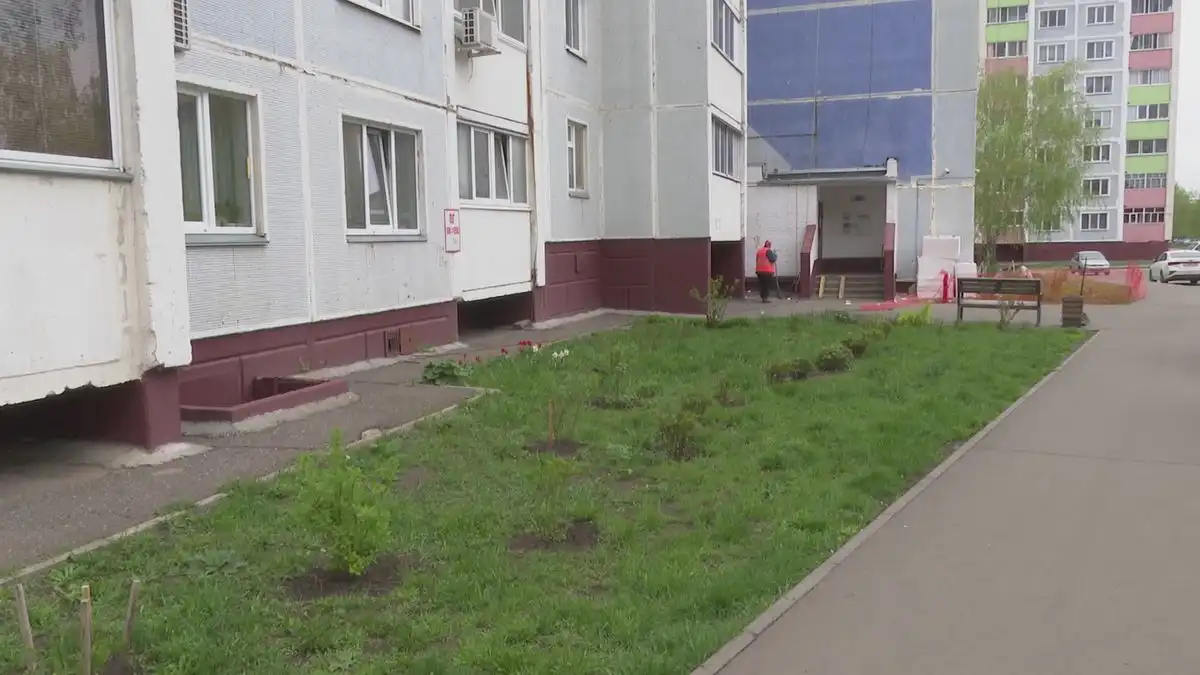 двор в Нижнекамске клумба