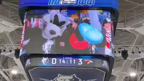 На хоккейном матче молодая пара из Нижнекамска узнала, что у них родится сын - телеканал НТР 24