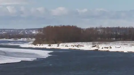 Март идёт на рекорд: последние дни месяца подарят татарстанцам аномальное тепло - телеканал НТР 24