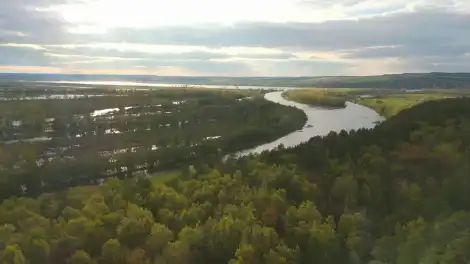 Более 26 млн направят на закупку спецтехники для охраны и восстановления лесов в РТ - телеканал НТР 24