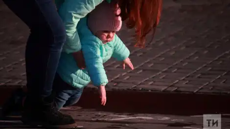 В России предложили создать госалиментные фонды: государство выплатит за неплательщиков - телеканал НТР 24