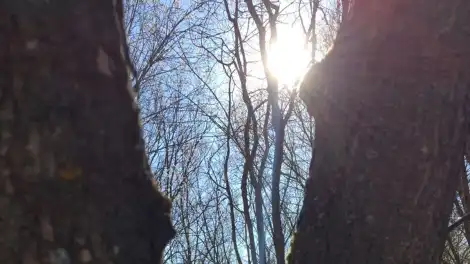 О погоде в Татарстане в начале апреля рассказали синоптики - телеканал НТР 24