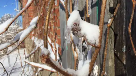 Весна берёт своё: резкое потепление начнётся в Татарстане с середины недели - телеканал НТР 24