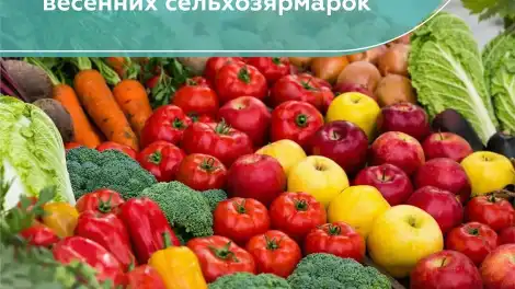 В Нижнекамске стартуют весенние сельскохозяйственные ярмарки