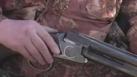 Опубликован график охоты в Татарстане на 2026 год: на кого нельзя будет охотиться - телеканал НТР 24