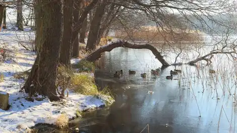Алдан сагаю зарур - телеканал НТР 24