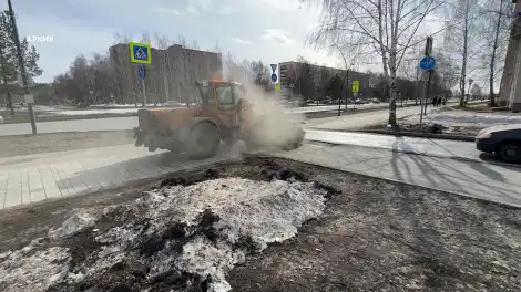 Апрель и май в Татарстане будут теплее нормы: синоптики прогнозируют аномалию в ближайшую декаду - телеканал НТР 24
