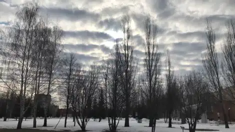 Снег, дождь и похолодание придёт в Татарстан в середине недели - телеканал НТР 24