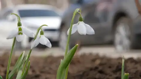 Перед трёхдневными выходными в Татарстане потеплеет до +12 - телеканал НТР 24