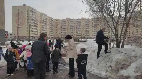 Нижнекамские первоклассники устроили праздник для птиц - телеканал НТР 24