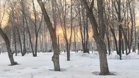 Апрельское тепло порадует жителей Татарстана на новой неделе - телеканал НТР 24