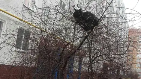 До +12 градусов: неделя в Татарстане завершится тёплой сухой погодой - телеканал НТР 24