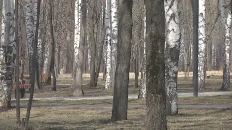 Пора менять гардероб? Стало известно, как сильно потеплеет в Татарстане в этот четверг - телеканал НТР 24