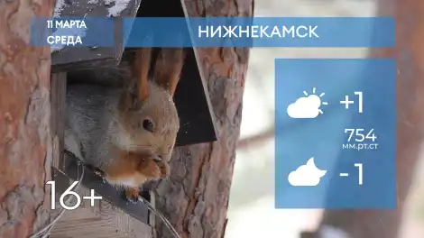 Прогноз погоды в Нижнекамске на 11-е марта 2026 года - телеканал НТР 24