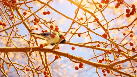 Дождались: в Татарстан идёт настоящее весеннее тепло - телеканал НТР 24