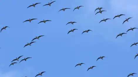 В Татарстане ожидаются аномально теплые выходные - телеканал НТР 24