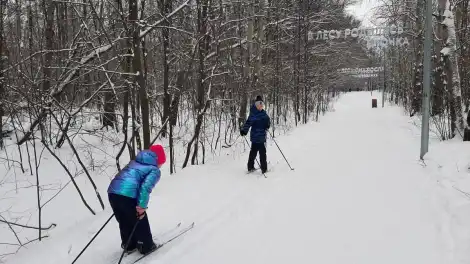 Татарстанцы стали чаще кататься на лыжах - телеканал НТР 24