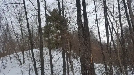 Пропавшая молодая мать из Казани найдена мёртвой - телеканал НТР 24