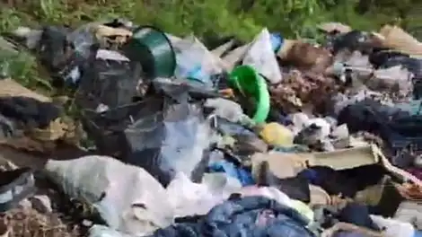 Фемида на стороне природы - телеканал НТР 24