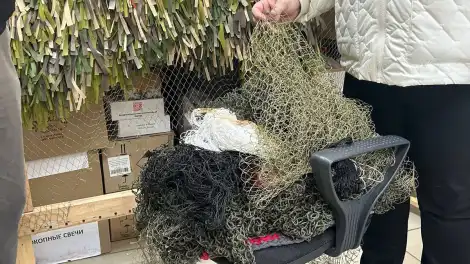 В Нижнекамске волонтёры объявили сбор рыболовных и спортивных сетей - телеканал НТР 24