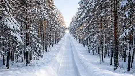 В эти выходные семьи участников СВО смогут бесплатно покататься на тюбингах на майдане - телеканал НТР 24