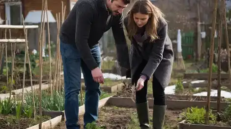 Весенние работы в саду и огороде: проверка семян, посев томатов и уход за деревьями после зимы - телеканал НТР 24
