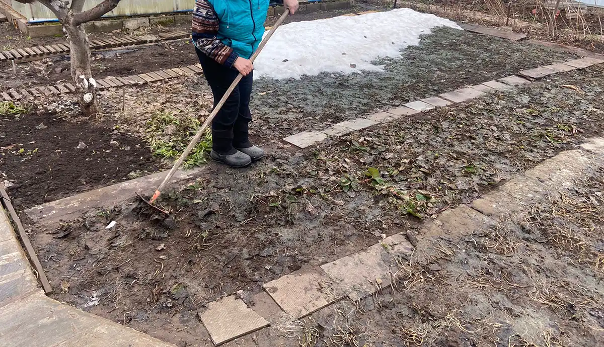 Женщина убирается весной в огороде