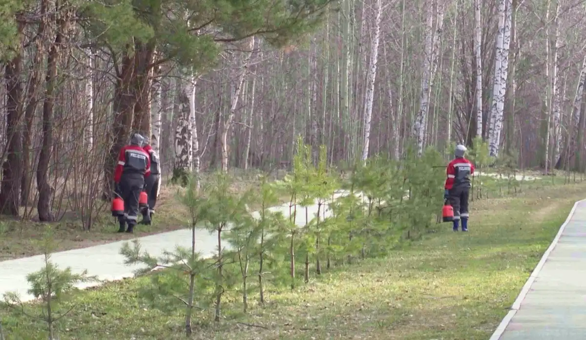 Весенний лес близ Нижнекамска