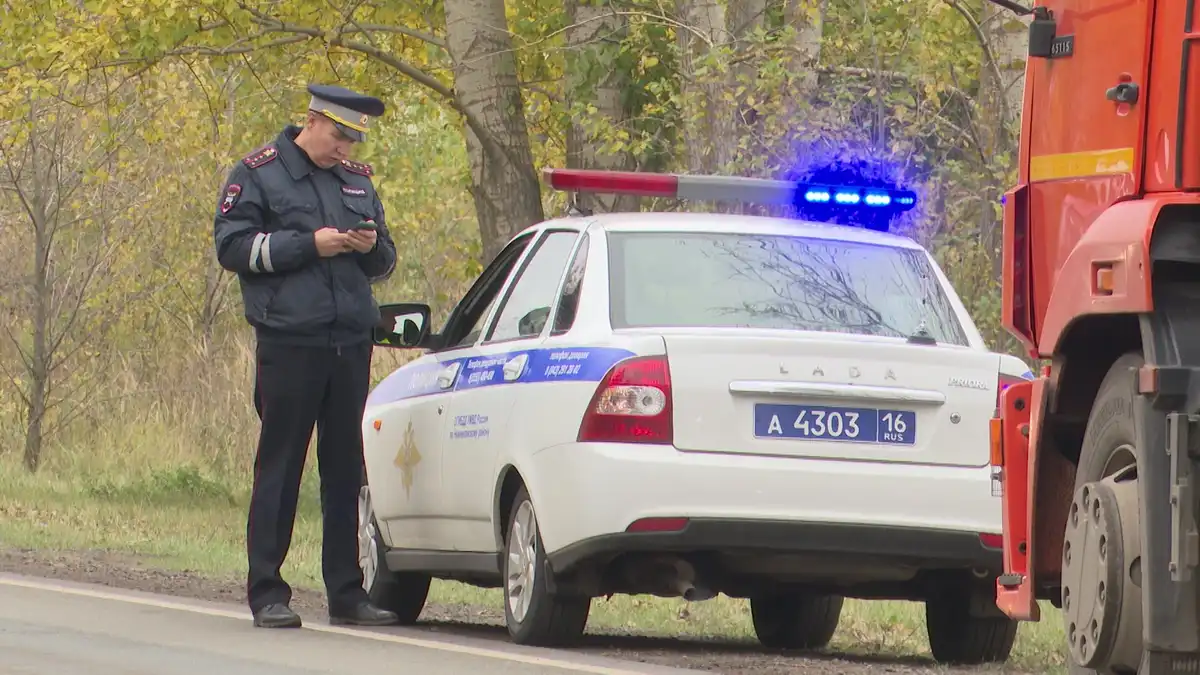 дпс гаи гибдд проверка документов