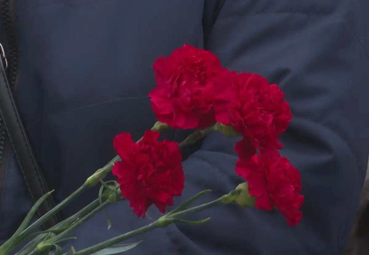 траурные гвоздики