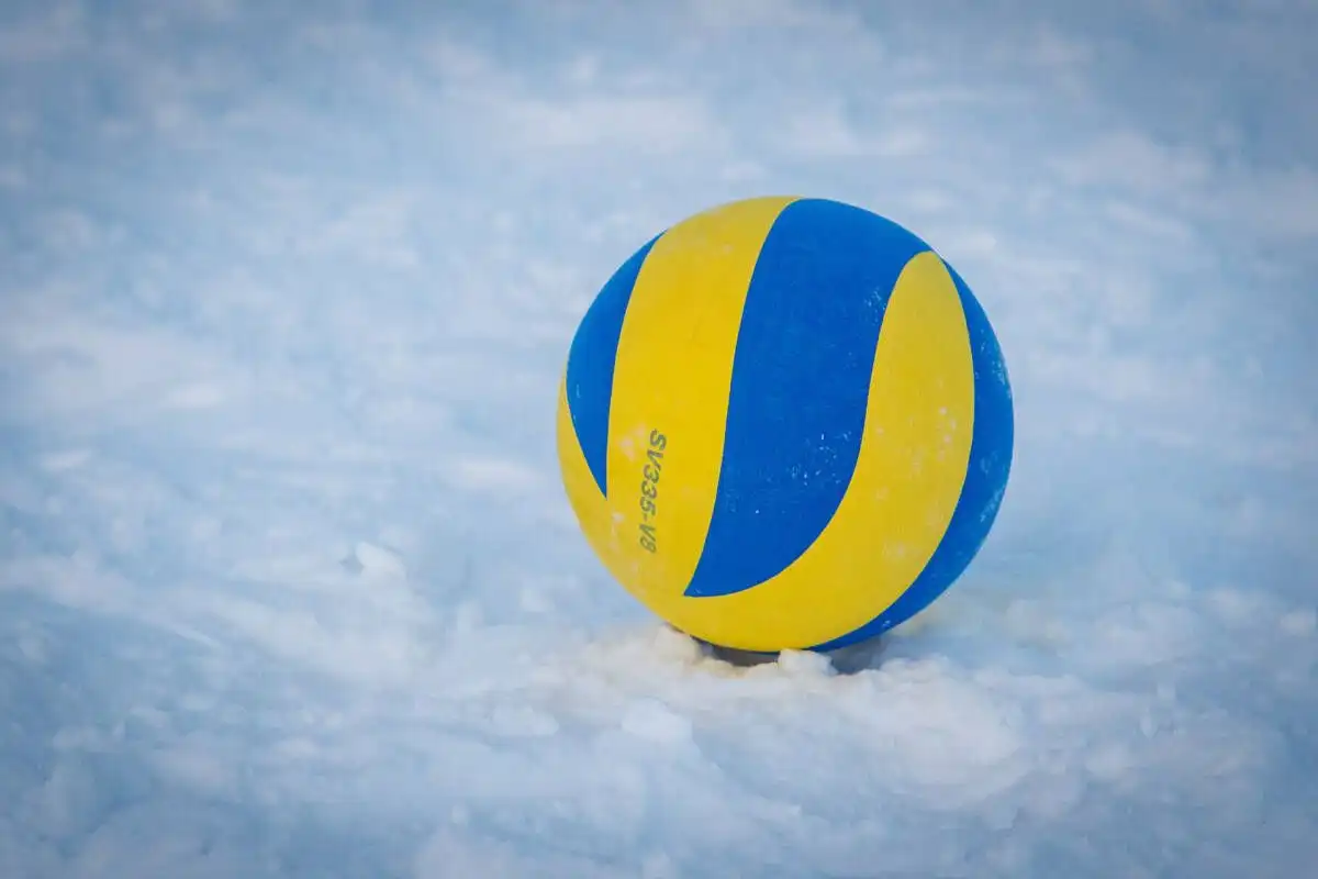 волейбольный мяч