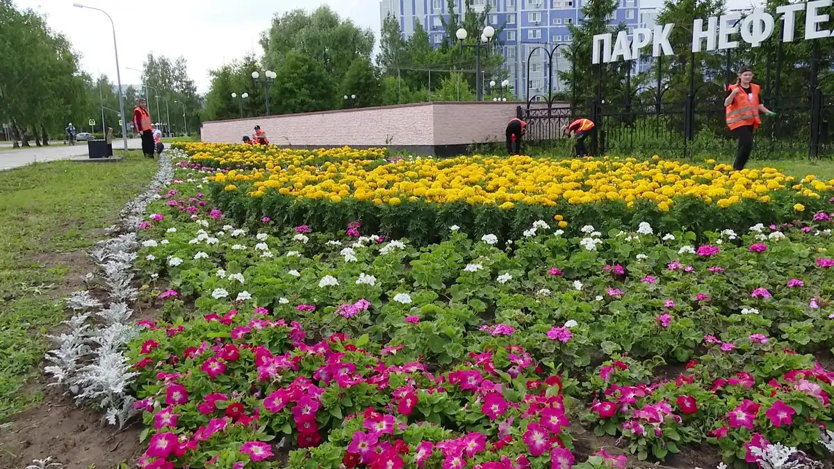 цветочная клумба в парке