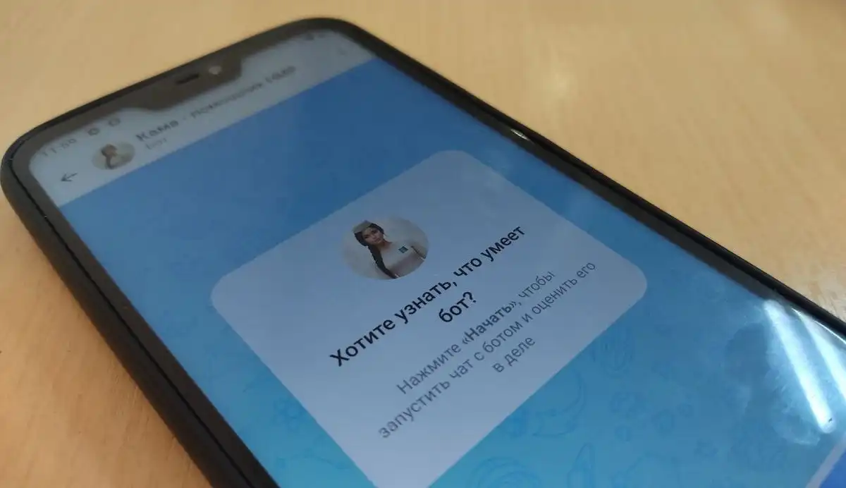 чат-бот Кама в мессенджере Мах смартфон